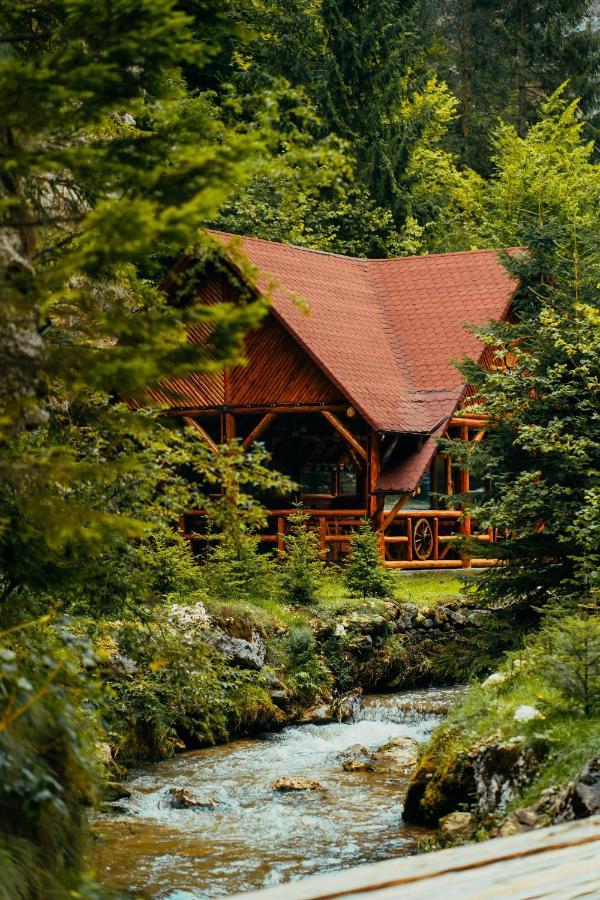 Casa Cheile Dâmbovicioarei - Cabana 1 Dâmbovicioara Exterior foto