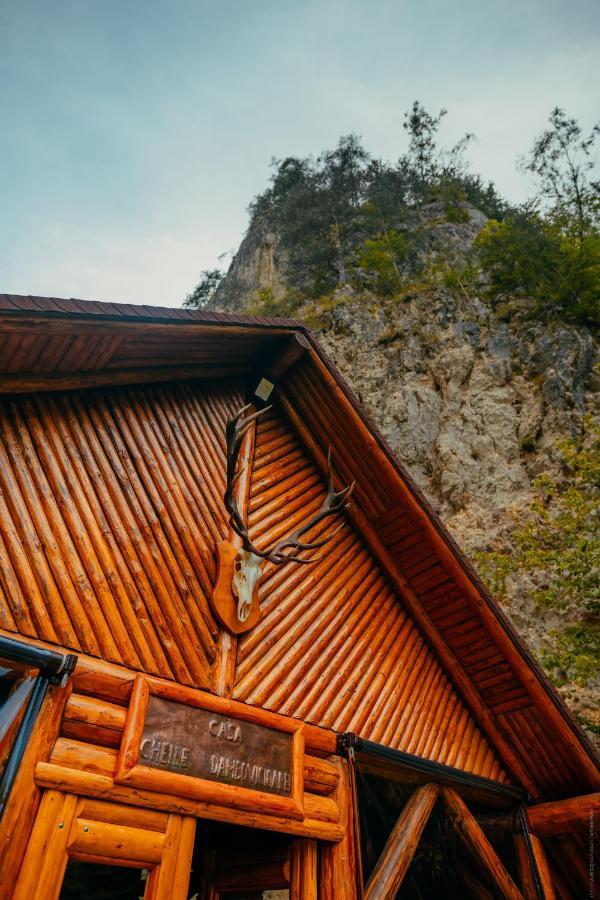 Casa Cheile Dâmbovicioarei - Cabana 1 Dâmbovicioara Exterior foto
