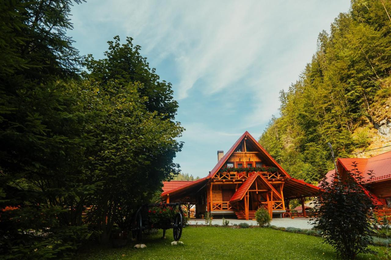 Casa Cheile Dâmbovicioarei - Cabana 1 Dâmbovicioara Exterior foto